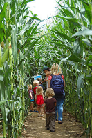 2020 Beech Hill Corn Mazes
