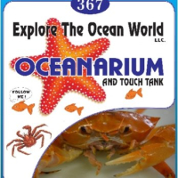 The Oceanarium